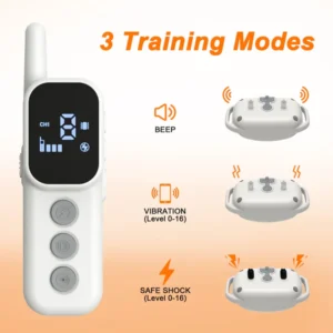 quality training ecollar