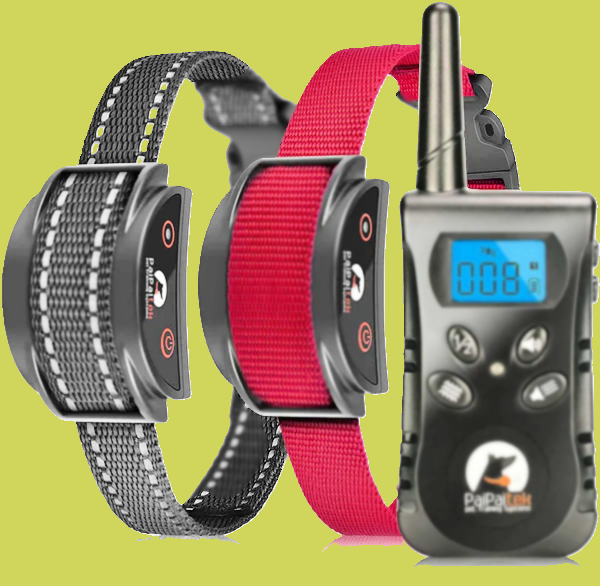 no shock E Collars for Training