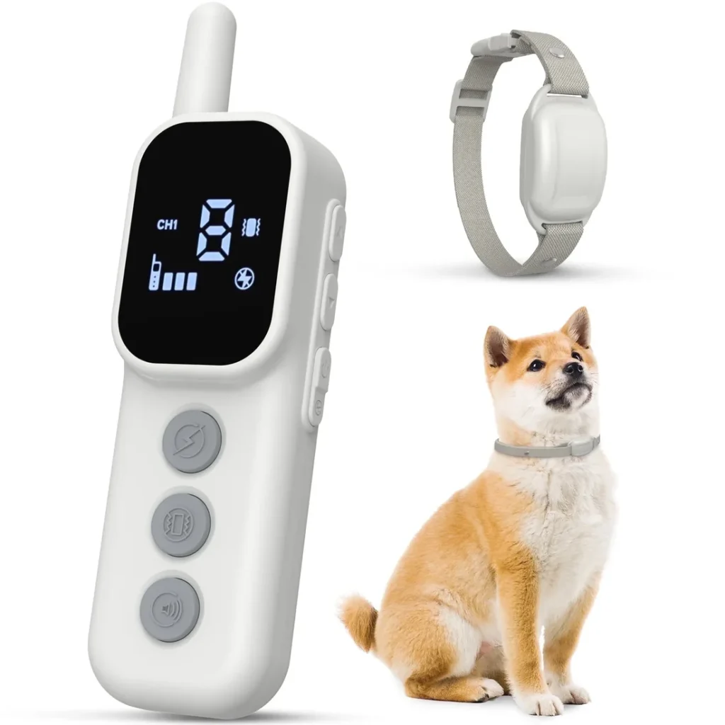 dog e training collar